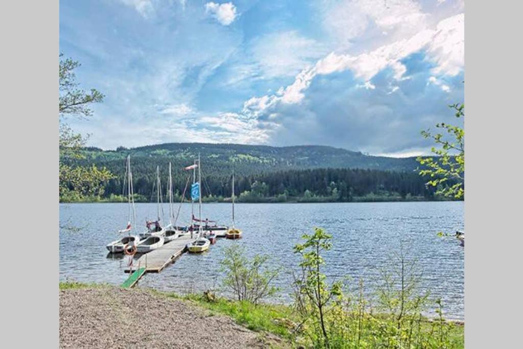 Ferienwohnung Schwarzwald Hinterzarten Zewnętrze zdjęcie