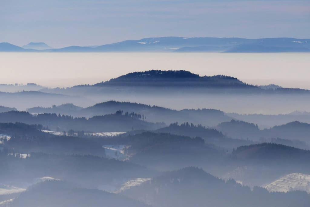 Ferienwohnung Schwarzwald Hinterzarten Zewnętrze zdjęcie