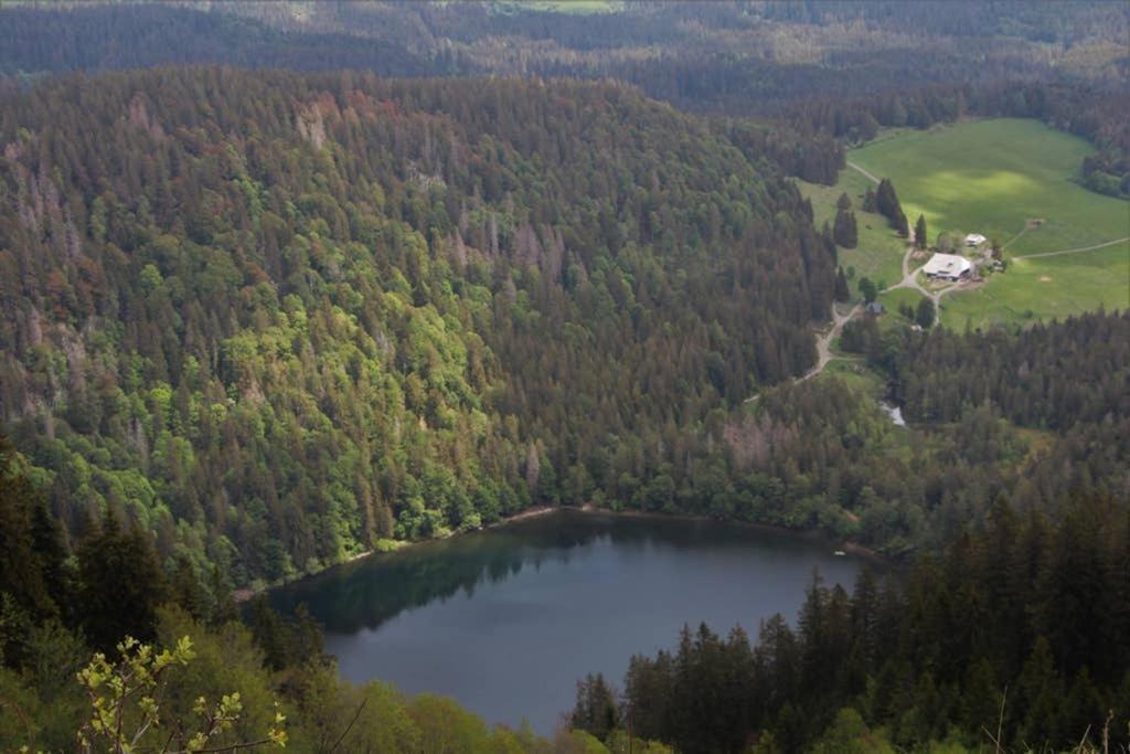 Ferienwohnung Schwarzwald Hinterzarten Zewnętrze zdjęcie
