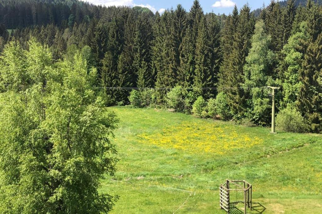 Ferienwohnung Schwarzwald Hinterzarten Zewnętrze zdjęcie
