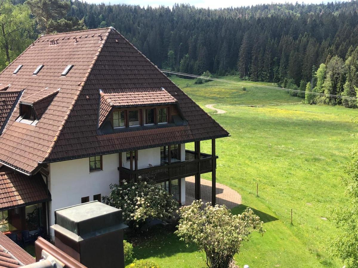 Ferienwohnung Schwarzwald Hinterzarten Zewnętrze zdjęcie